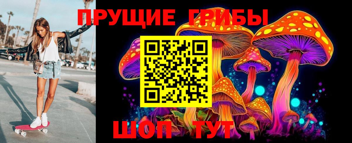 Псилоцибиновые грибы GOLDEN TEACHER Всеволожск