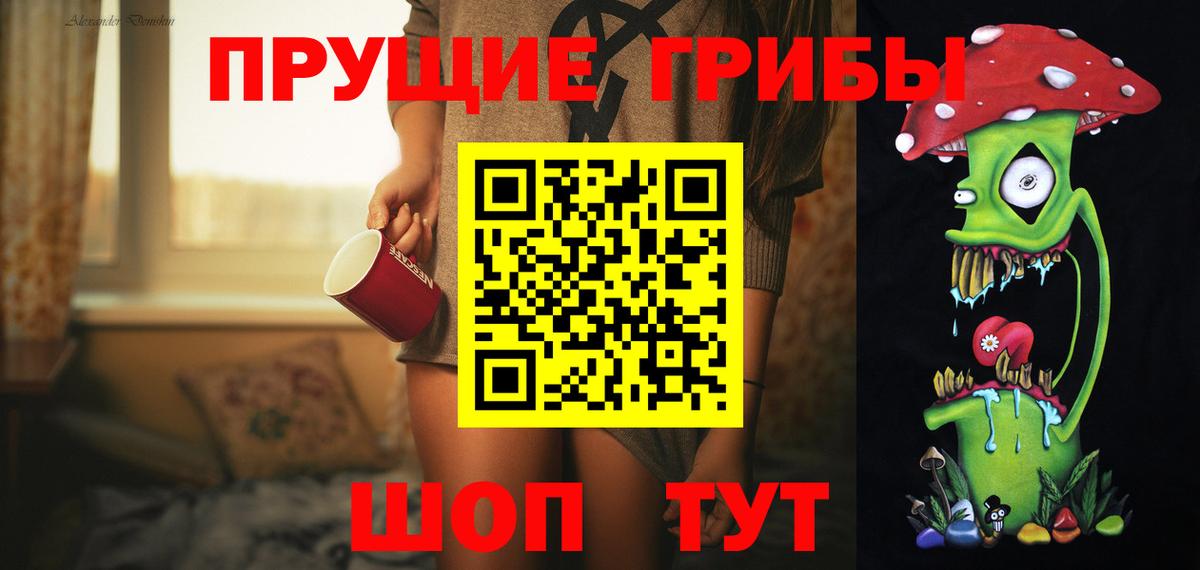 Всеволожск  Галлюциногенные грибы Cubensis  Вход с VPN 
